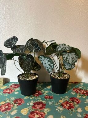 Artificial Potted Plants, Small Caladium Pair